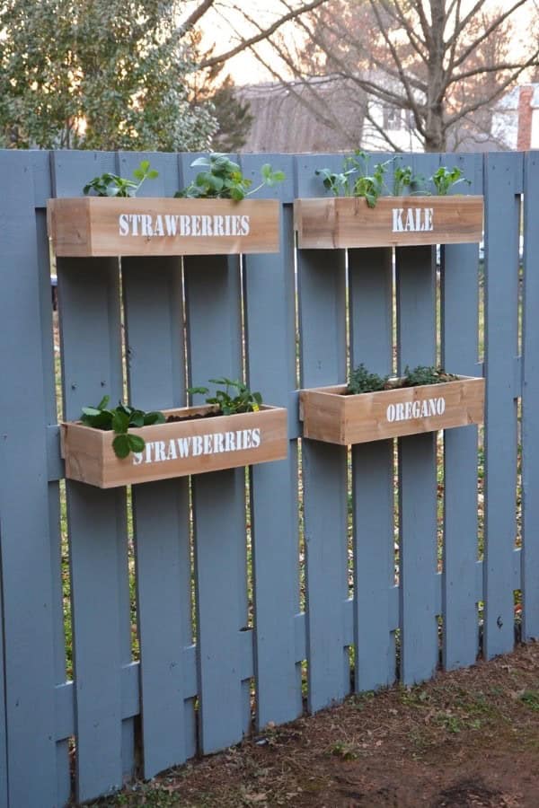 HANGING FENCE GARDEN