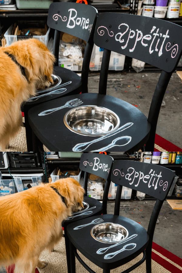 Dog Bowl Chair