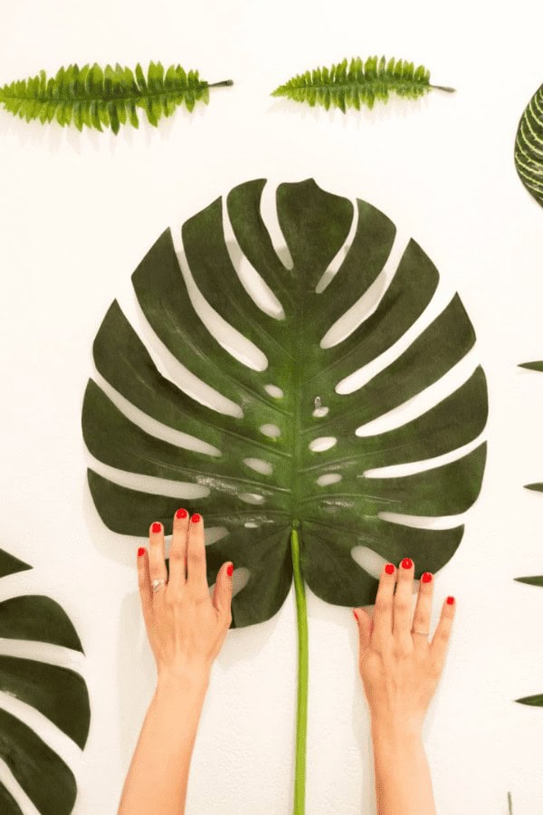 Faux Botanical Backdrop