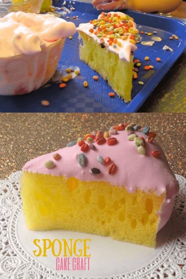 Sponge Cake Craft