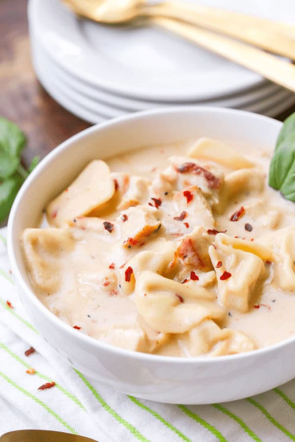 Chicken Alfredo Soup