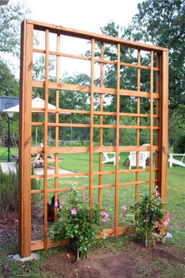 Modern DIY Trellis Wall