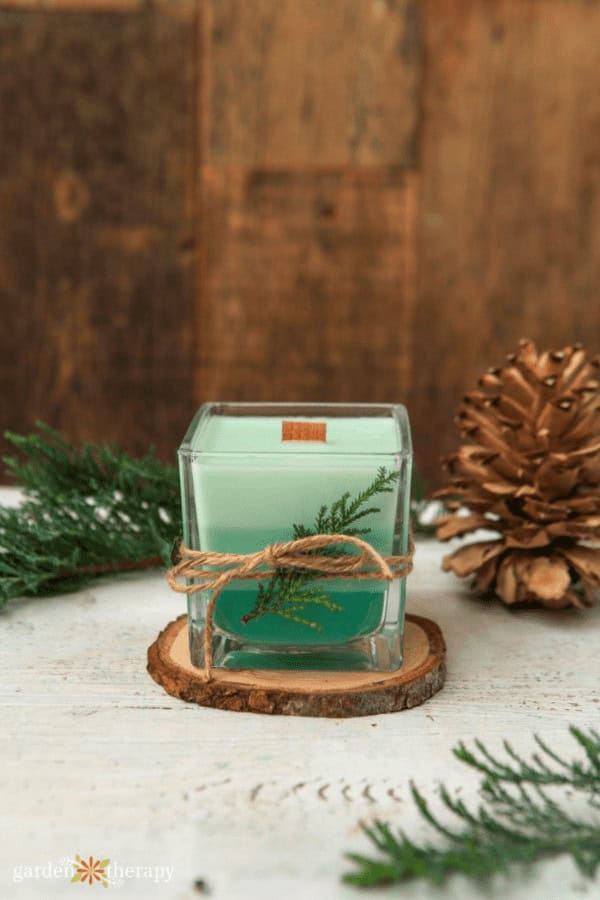 Festive Evergreen Candle