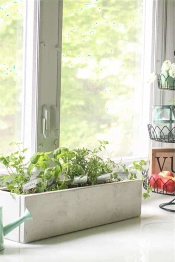 Kitchen Counter DIY Herb Planter Box