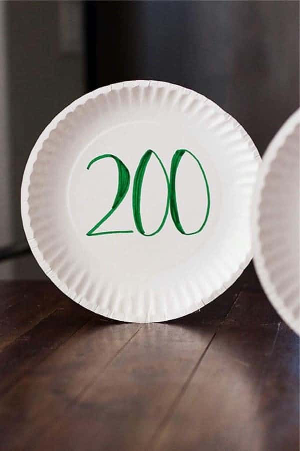 Paper Plate Targets