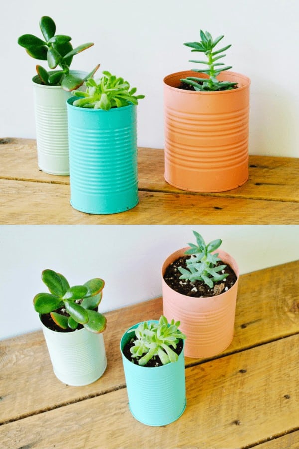 Tin Can Planters