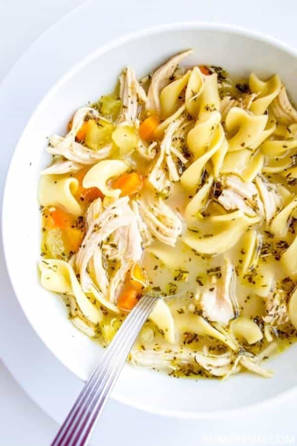 Instant Pot Chicken Noodle Soup