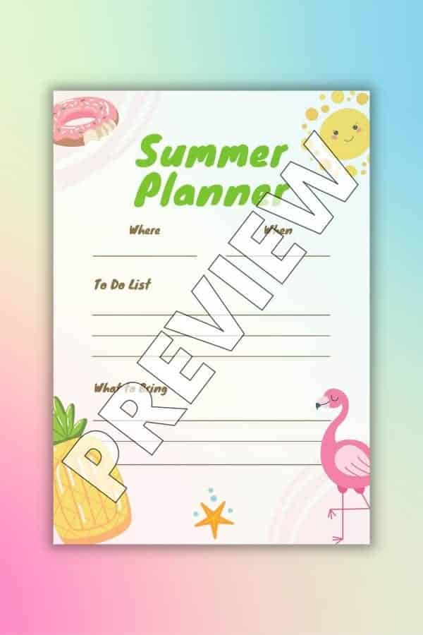 PINK GIRL’S SUMMER PLANNER