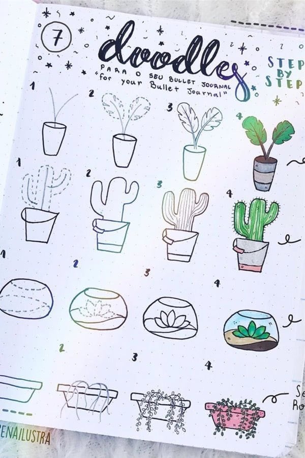 Detailed Cactus Doodles