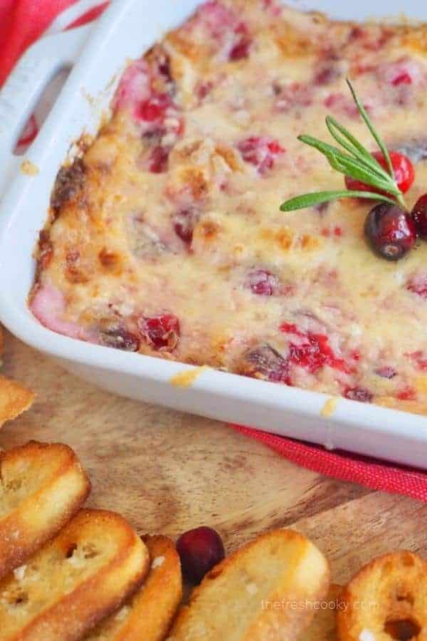 CHEESY CRANBERRY DIP