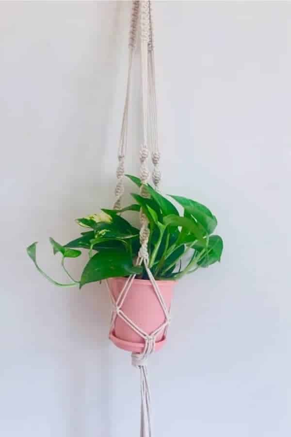 Cheap Macrame Plant Hanging Tutorial