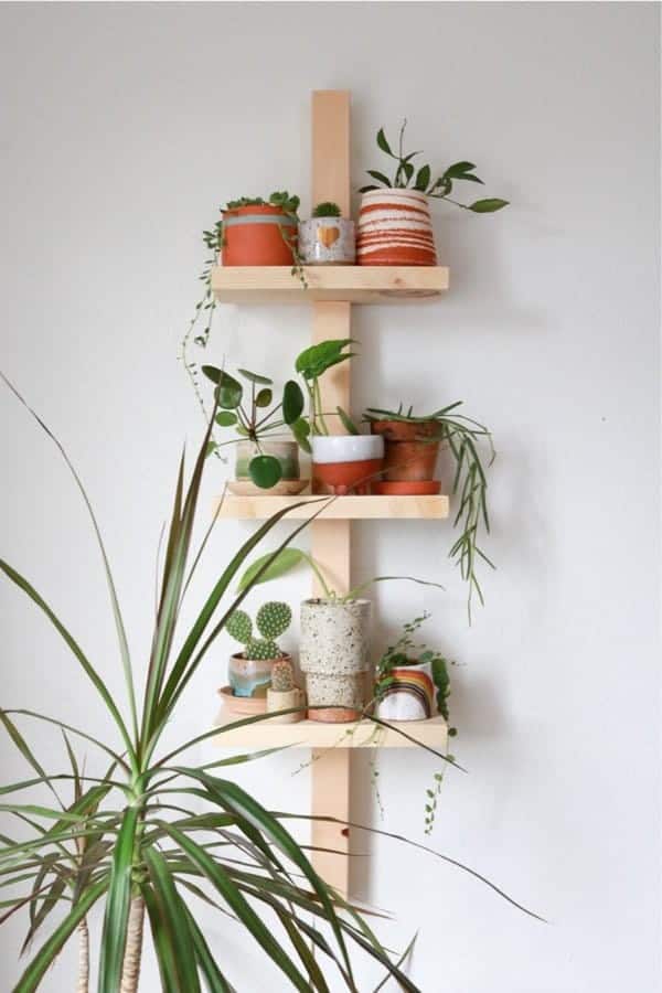 Modern Plant Shelf DIY