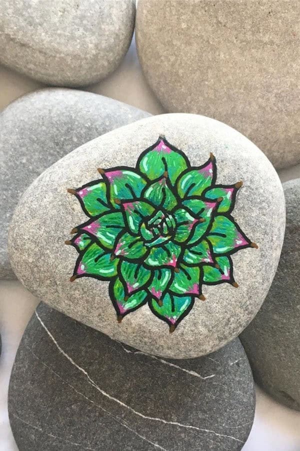 Succulent Painting On Stone