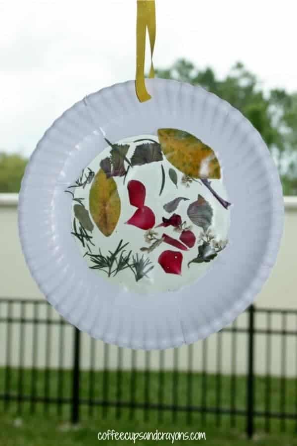 Nataue Suncatcher Craft For Kids