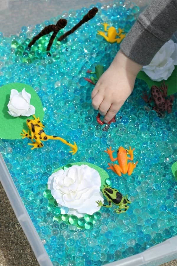 Frog Sensory Bin Craft For Kids