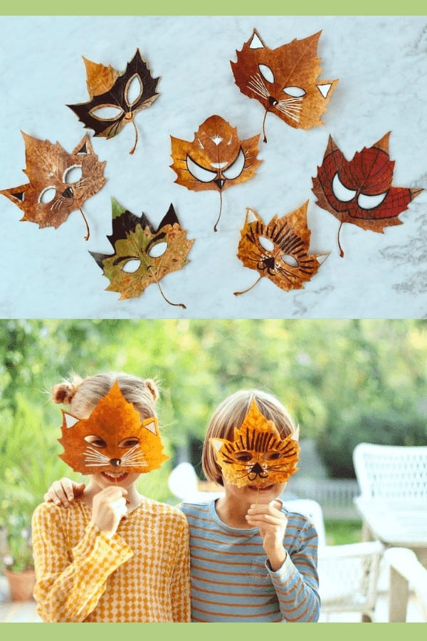 Superhero & Animal Leaf Masks