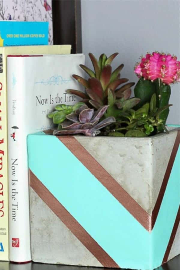 Cactus & Succulent Planter Bookends