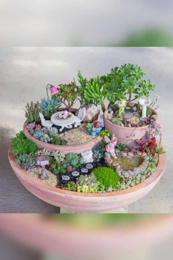 SUCCULENT FAIRY VILLAGE