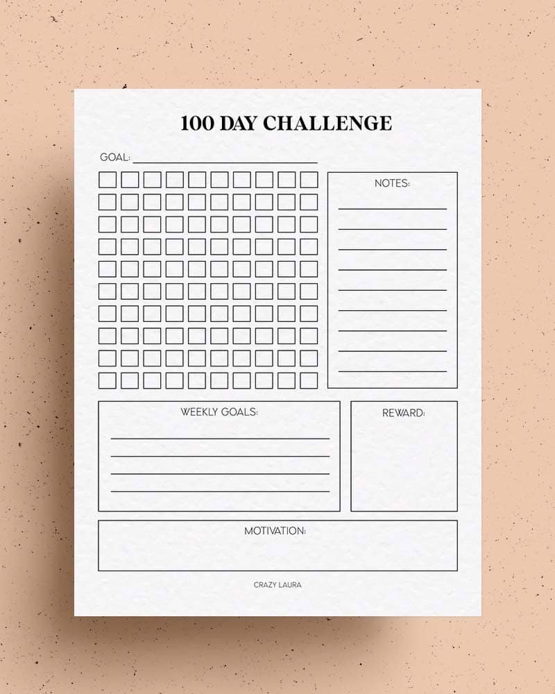 Detailed 100 Day Challenge Tracker