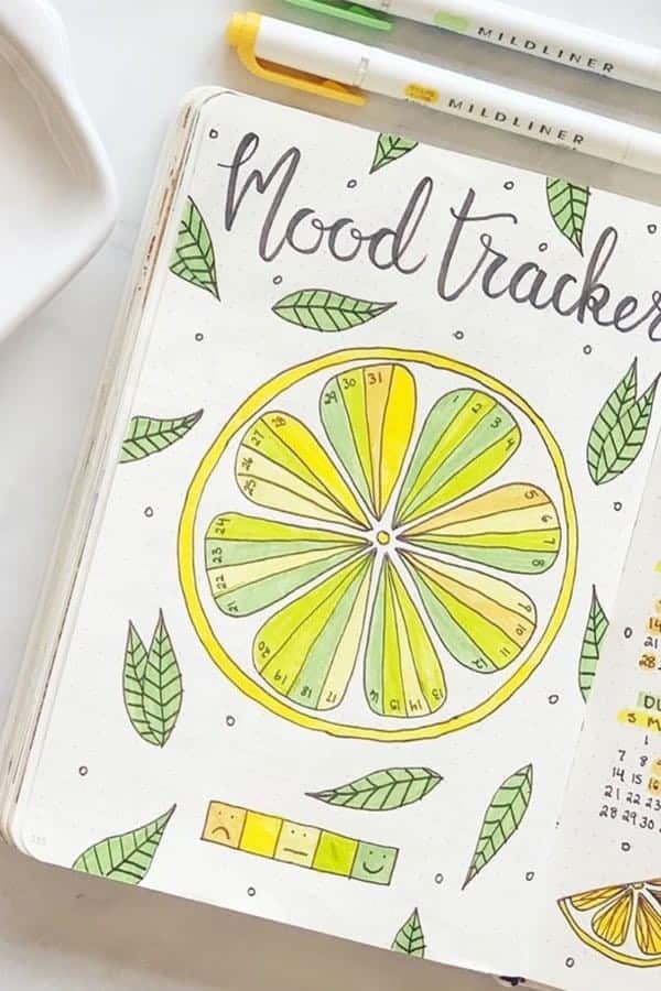 Summertime Mood Tracker