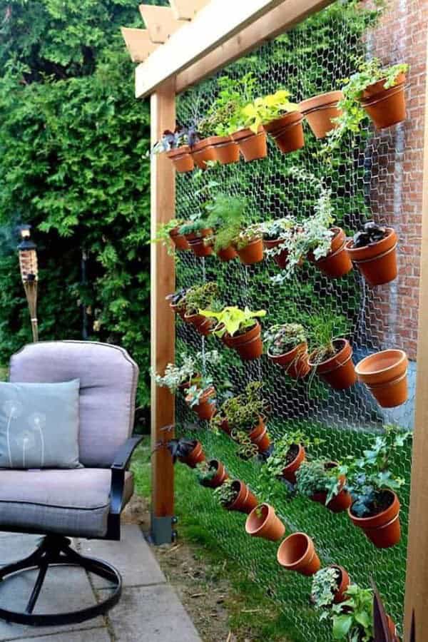 DIY VERTICAL GARDEN WALL