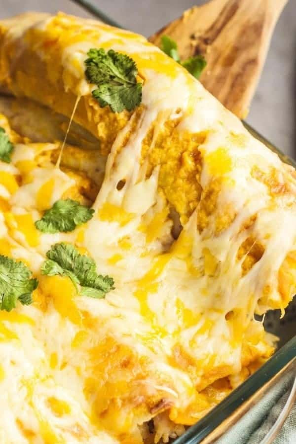 CREAMY PUMPKIN CHICKEN ENCHILADAS