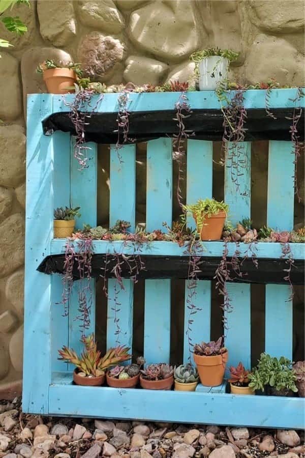 Pallet Succulent Garden Inspiration