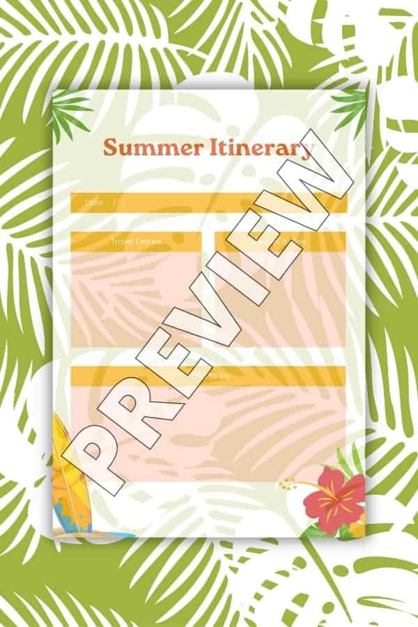 ORANGE ILLUSTRATION SUMMER PLANNER