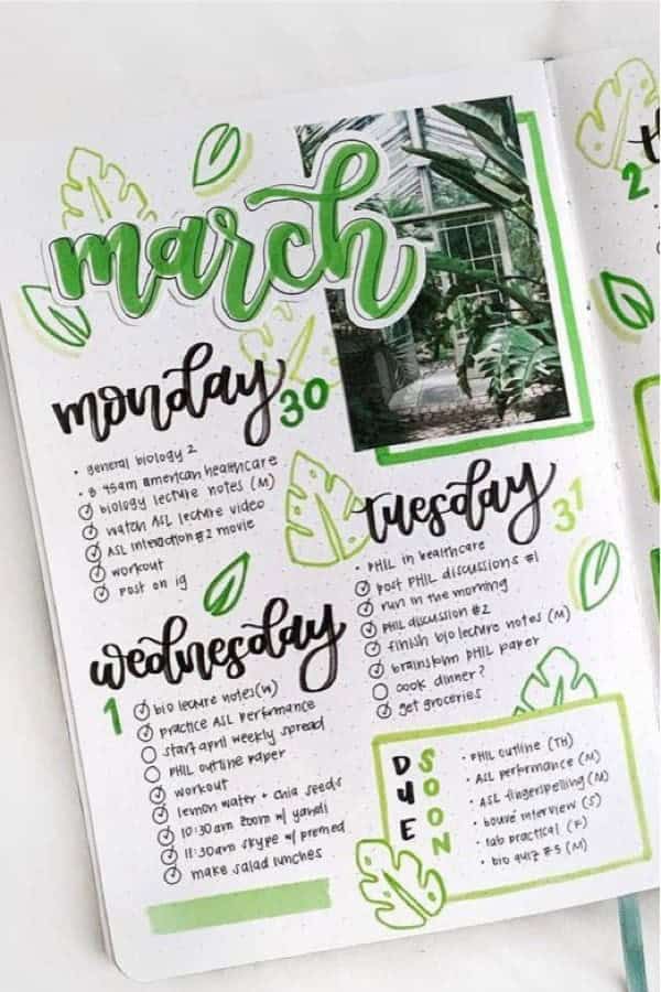 Monstera Leaf Weekly Spread