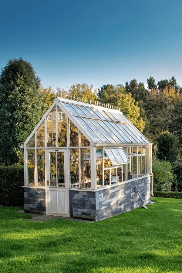 Greenhouse or Hoophouse