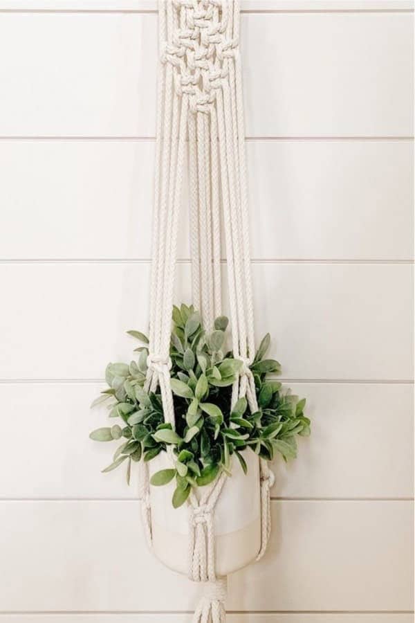 Do It Yourself Hanging Plant Tutorial