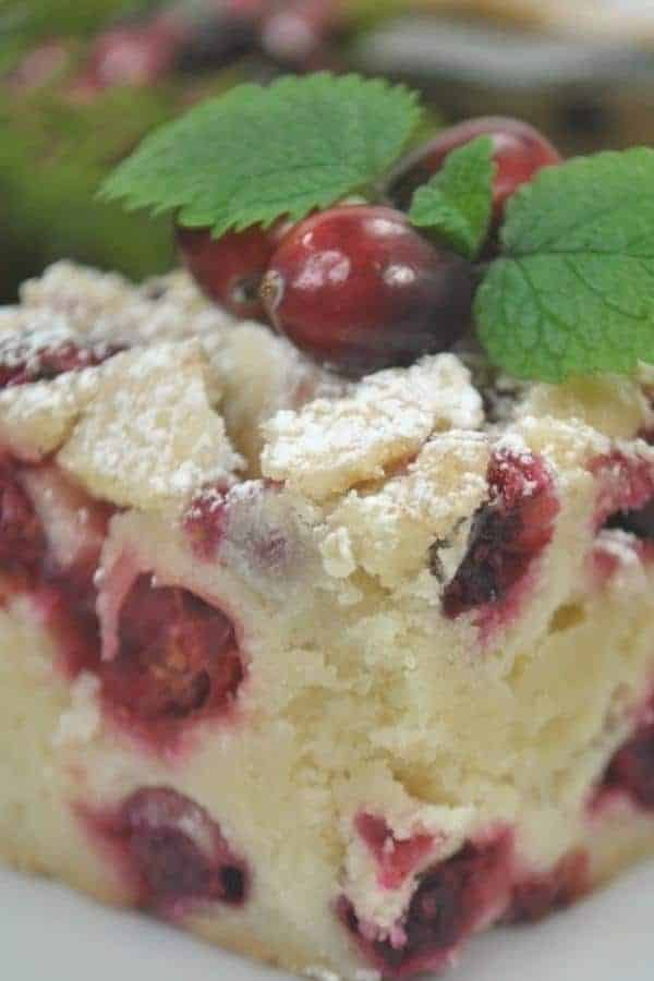 CRANBERRY CHRISTMAS CAKE