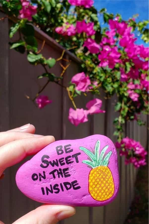 Pineapple Design For Painted Pebble