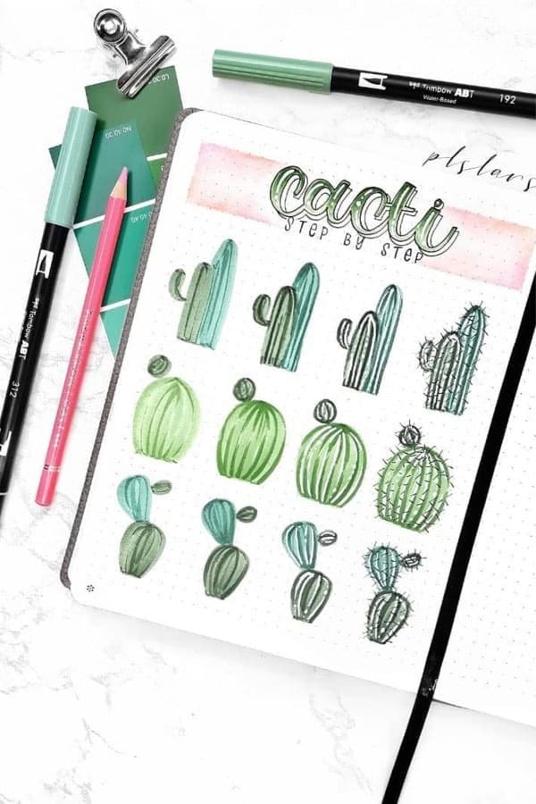 Step By Step Marker Cacti