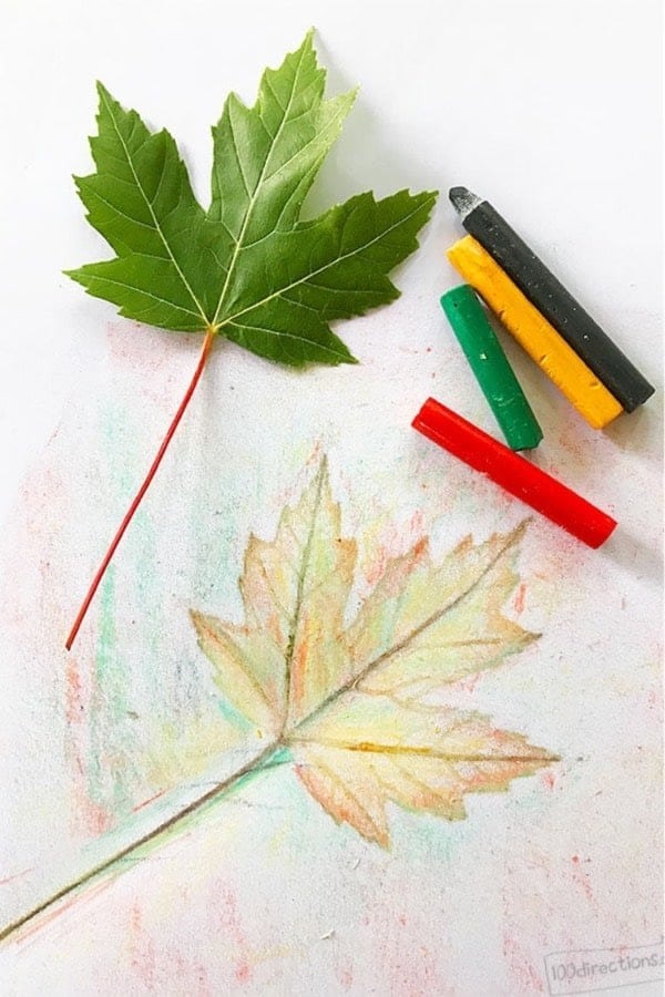 How to Make Leaf Rubbing Art and Leaf Art Printable