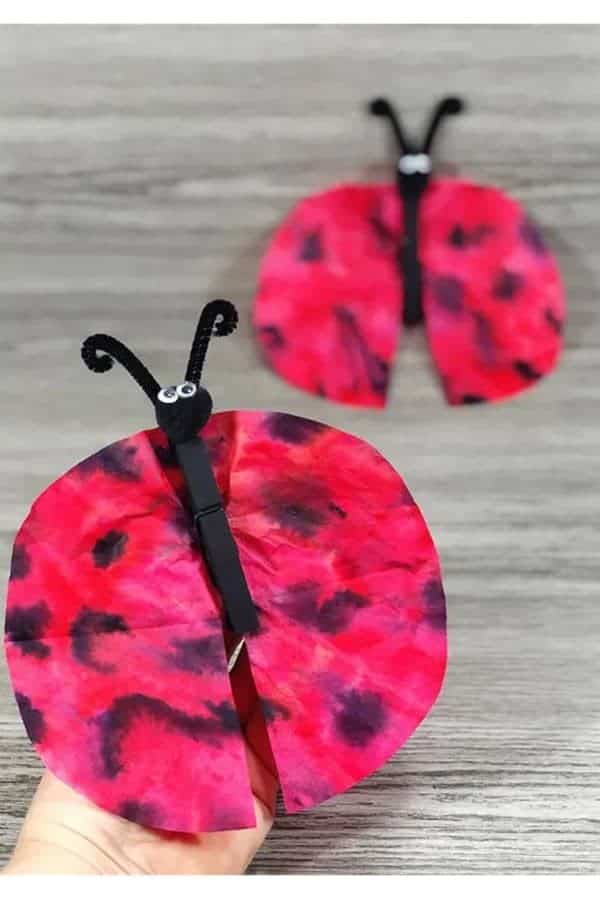 Coffee Filter Ladybug Craft