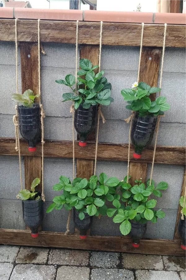 Recycled Bottle Vertical Planters