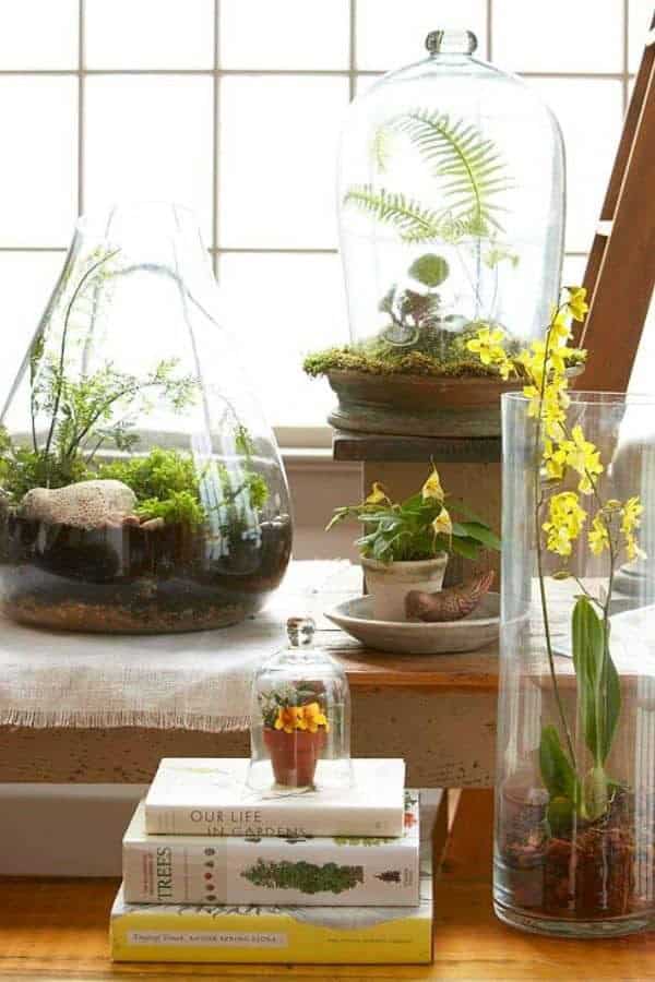 FAIRY GARDEN TERRARIUM