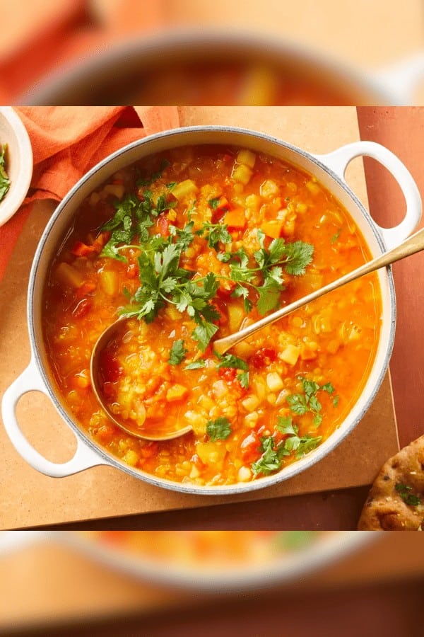 Vegetable Mulligatawny Soup