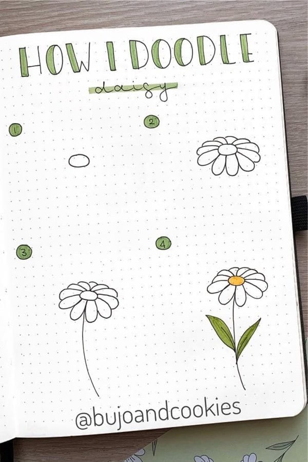 How To Draw A Daisy