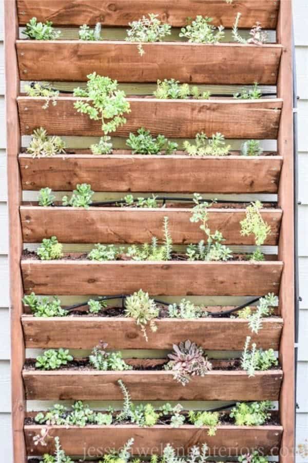 DIY Vertical Garden