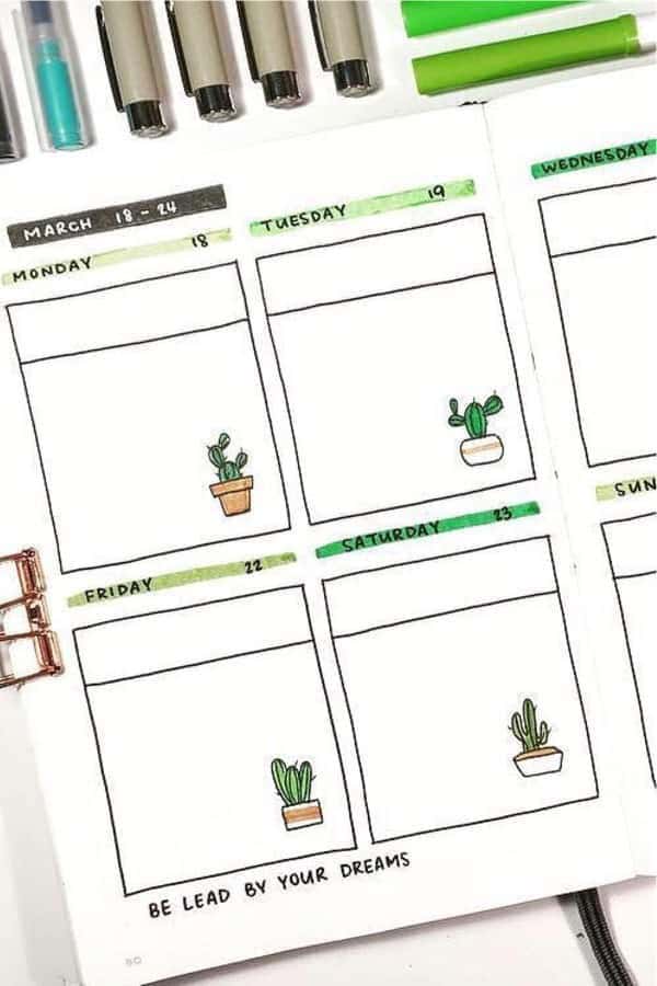 Simple Cactus Spread