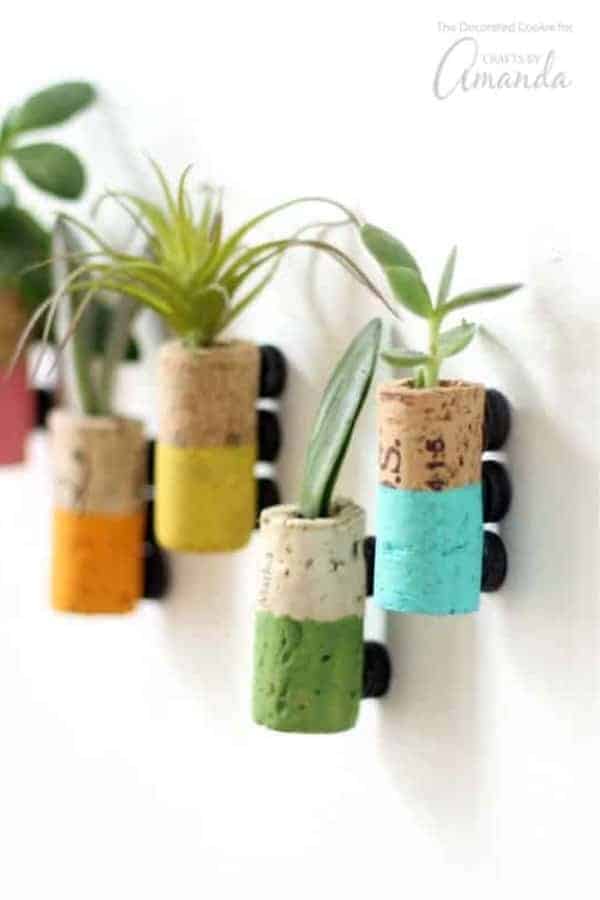 Wine Cork Succulent Magnets