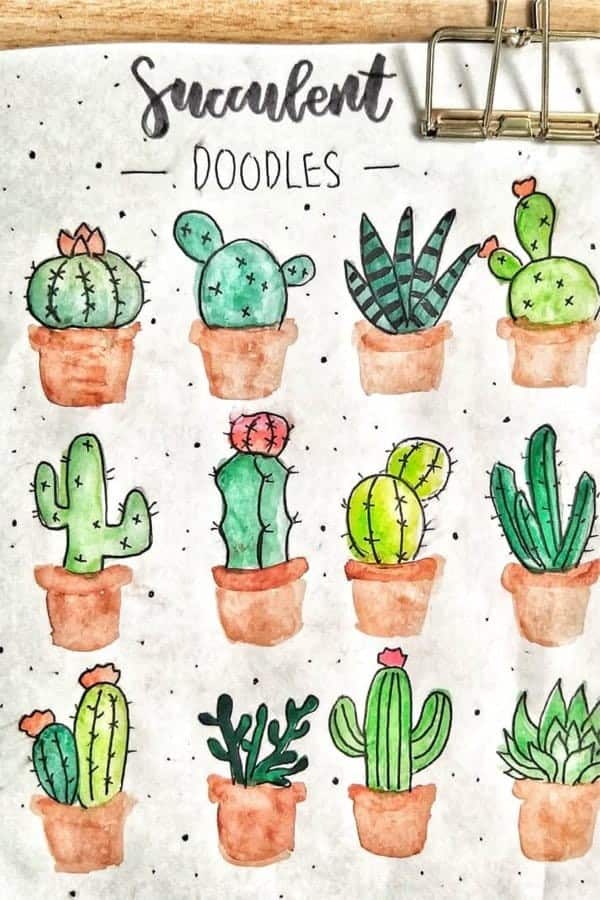 Succulent Doodle Ideas