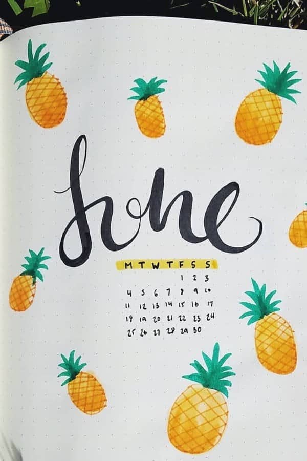 Pineapple Theme