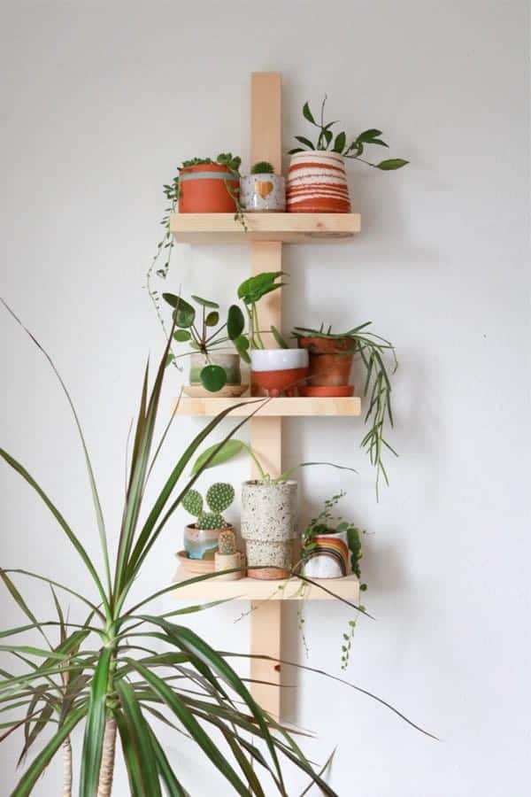 Modern Plant Shelf DIY