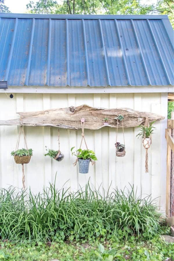 DRIFTWOOD HANGING PLANTER