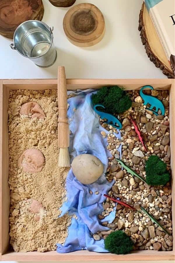 Sensory Bin Dinosaur Fossil Dig