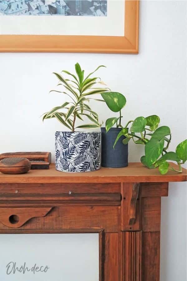 Recycled Tin Can Planters