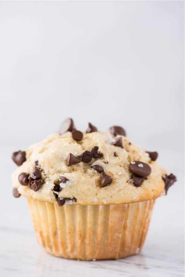 Chocolate Chip Muffin Homemade Recipe